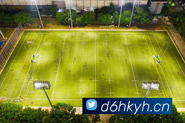 星空体育综合链接平台生态图